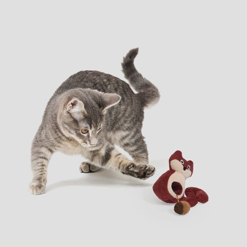 2-in-1 Squirrel and Nut Cat Toy