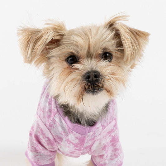 Dog Pajama