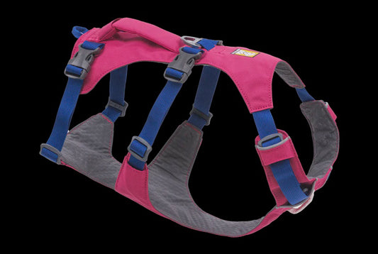 Flagline Dog Harness