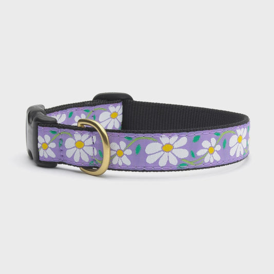Daisy Dog Collar