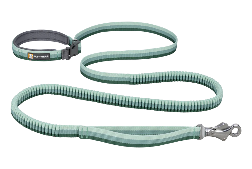 Roamer Leash