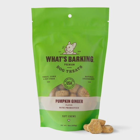 Pumpkin Ginger Soft Chew Dog Treats W/Probiotics, 9oz Case