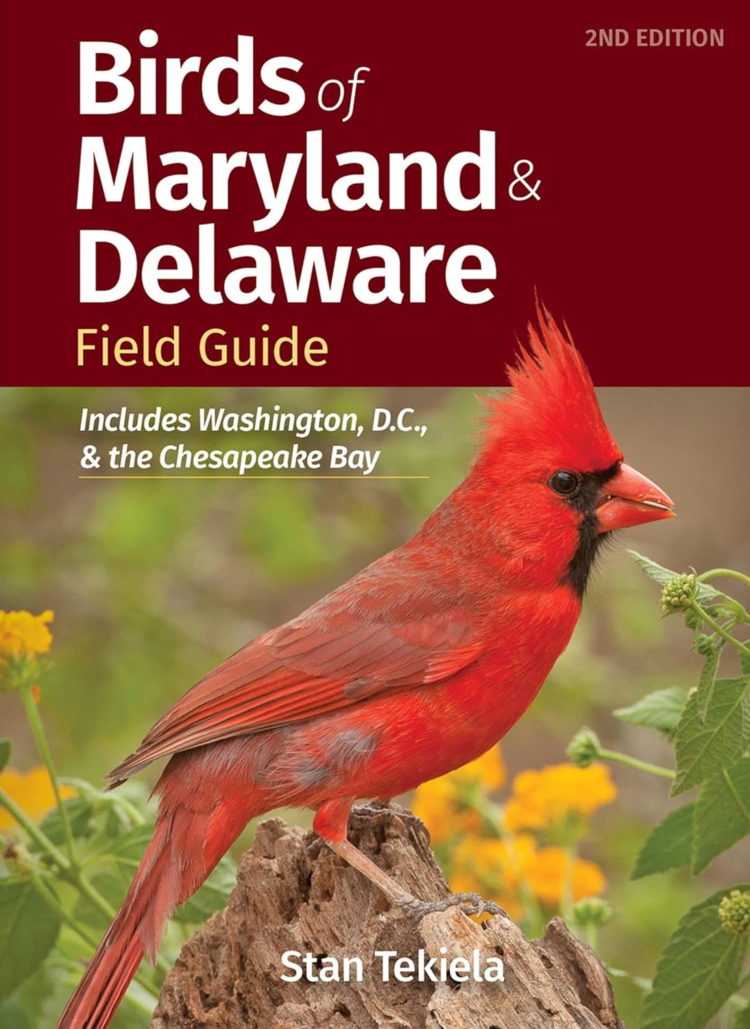 Birds Of Maryland & Delaware Field Guide: Includes Washington, D.C., & The Chesapeake Bay (Bird Identification Guides)