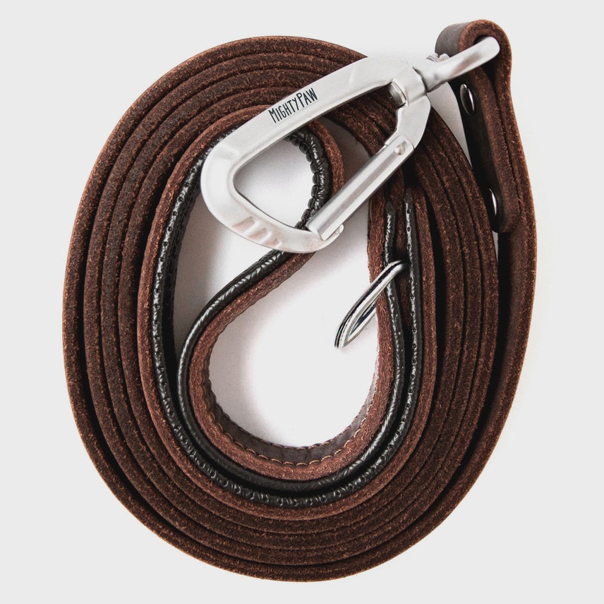 6 ft Leather Leash