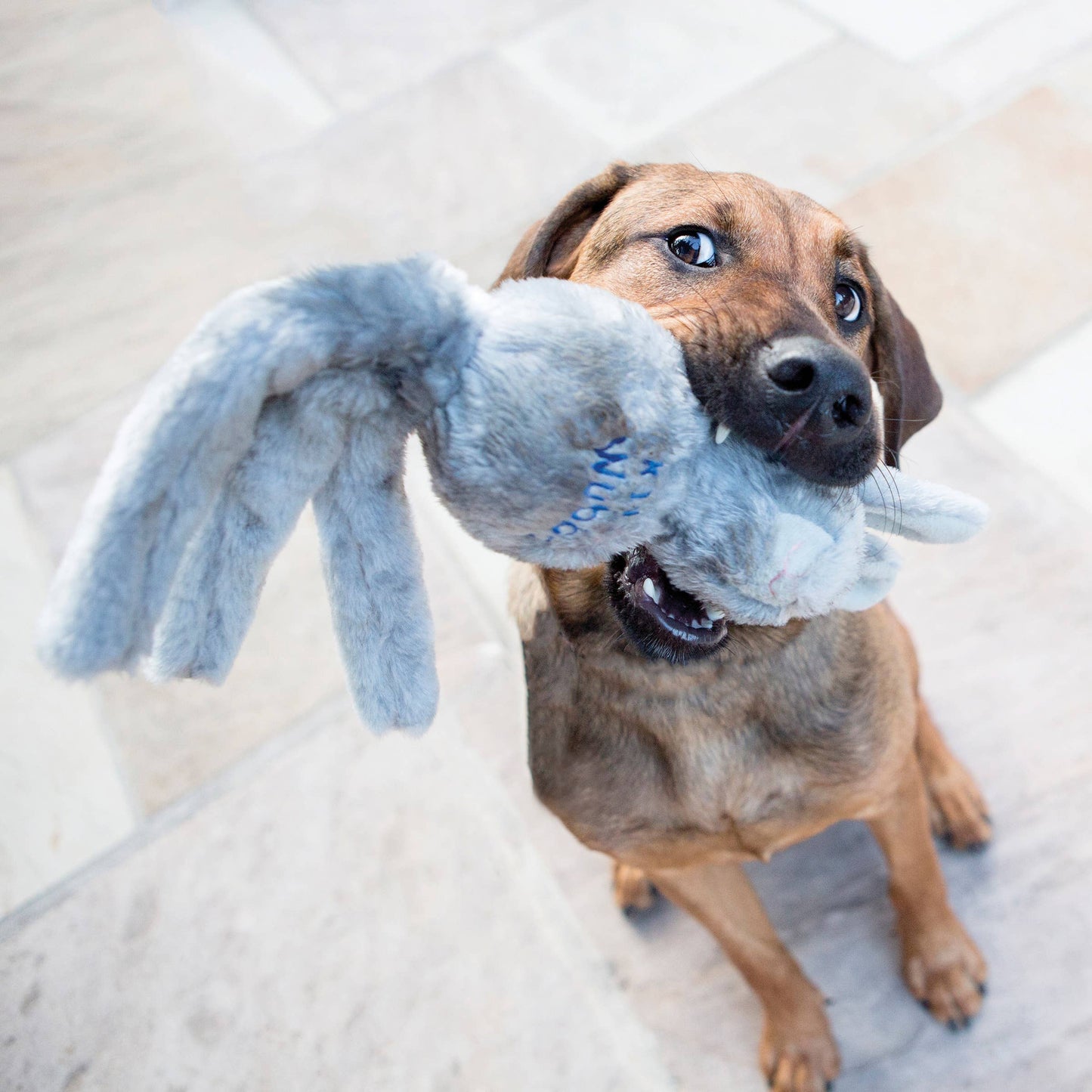 KONG® Wubba Friends Dog Tug Toy Assorted Small