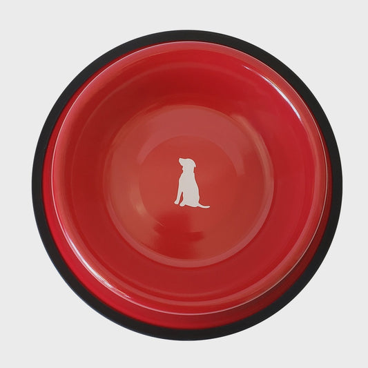 Non Skid Stainless Steel Dog Bowl With Dog Print