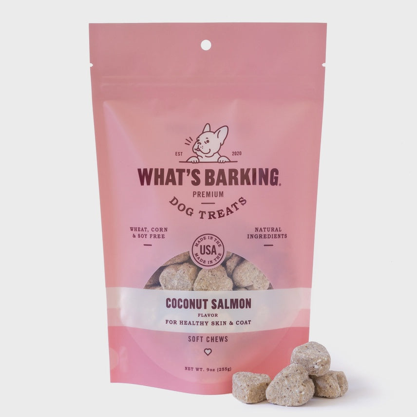 Coconut Salmon Soft Chew Dog Treats, 9oz Case