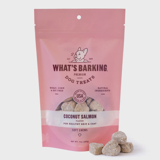 Coconut Salmon Soft Chew Dog Treats, 9oz Case