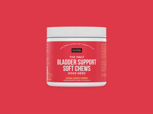 The Only Bladder Support Soft Chews Dogs Need