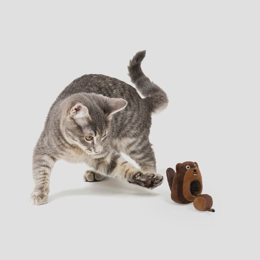 2-in-1 Beaver and Log Trunk Cat Toy