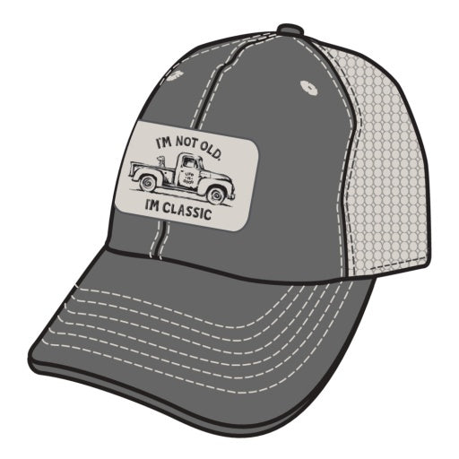 Classic Pickup And Dog Old Favorite Mesh