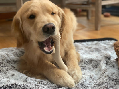 BetterBone Natural Dog Chews - BetterBone SOFT- All-Natural, Safer on Teeth, Sustainable