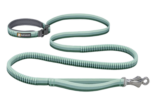 Roamer Leash