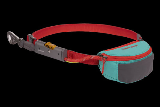 Hitch Hiker Leash And Hitch