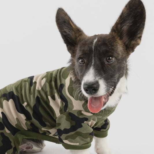 Dog Pajama