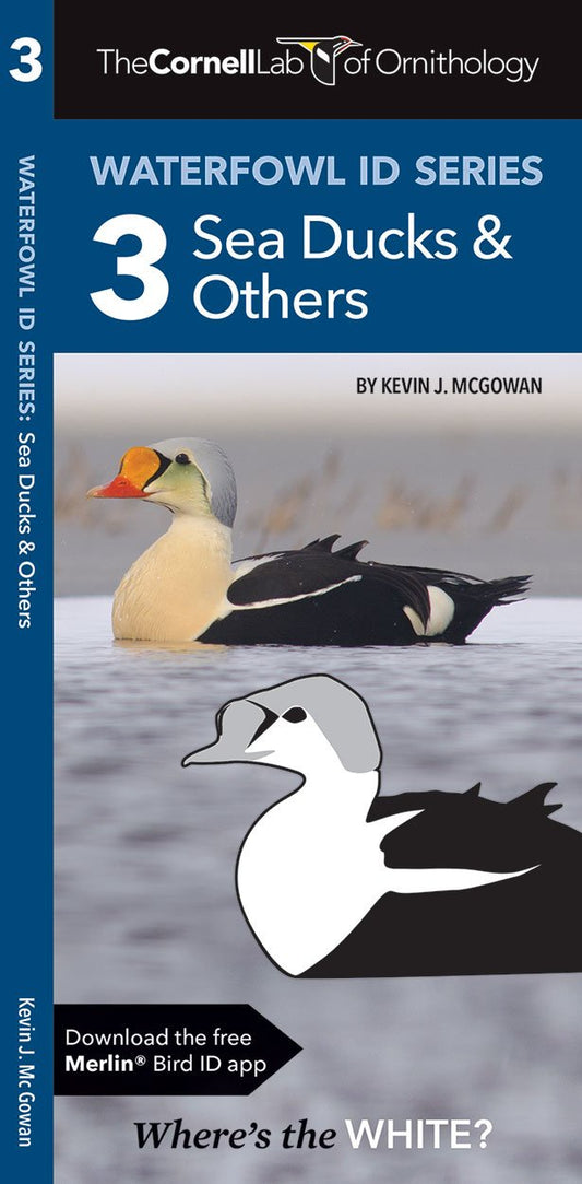 Waterfowl Id Series: 3 Sea Ducks & Others (Wildlife And Nature Identification)