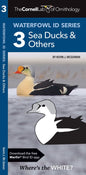 Waterfowl Id Series: 3 Sea Ducks & Others (Wildlife And Nature Identification)