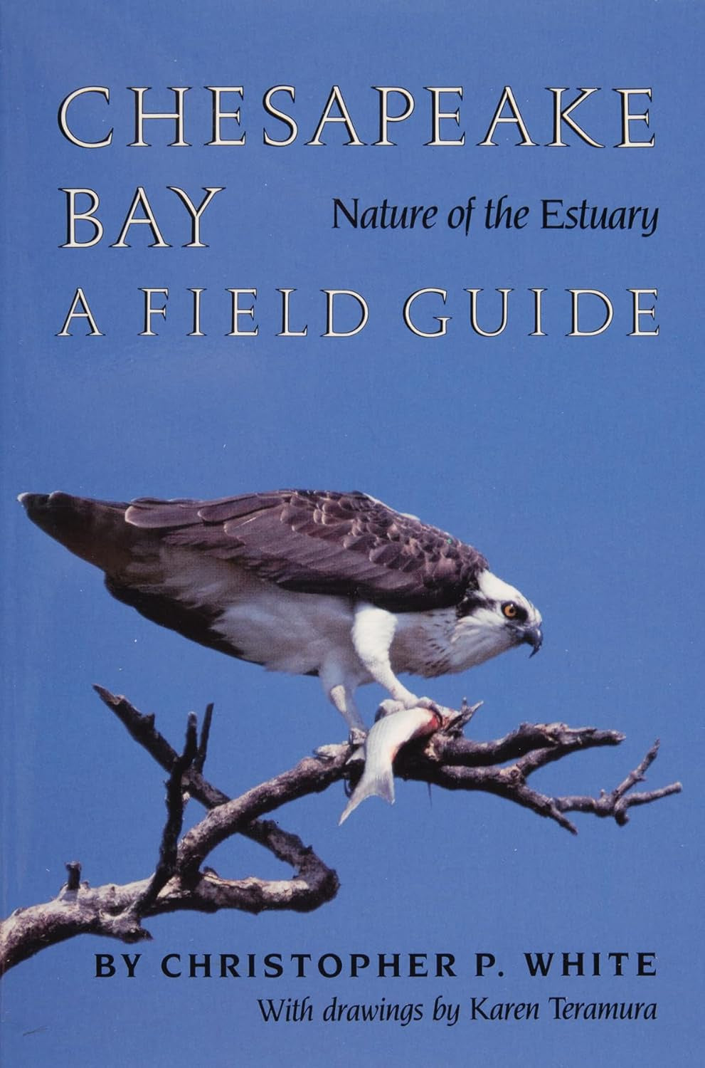 Chesapeake Bay: Nature Of The Estuary : A Field Guide