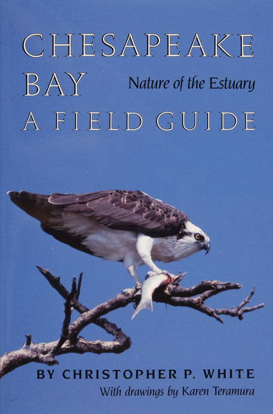 Chesapeake Bay: Nature Of The Estuary : A Field Guide