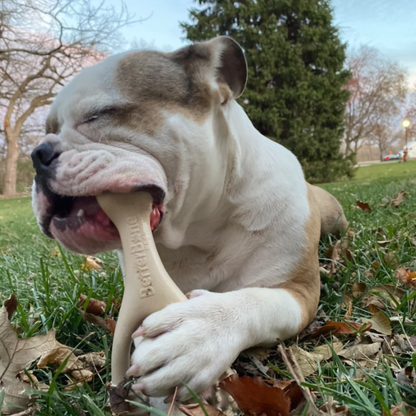 BetterBone Natural Dog Chews - BetterBone SOFT- All-Natural, Safer on Teeth, Sustainable