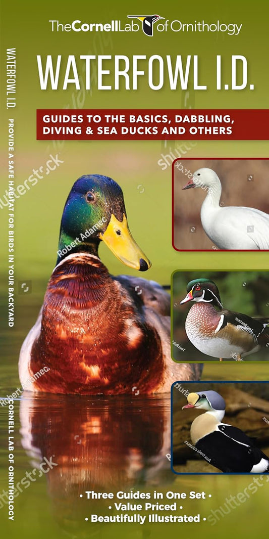 Waterfowl Id Set: A Complete Supplement To Indentify Waterfowl Based On "Where'S The White?" (Nature Set)