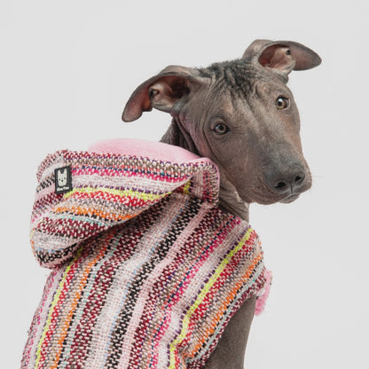 Baja Dog Poncho