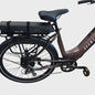 Ebike Battery Bag