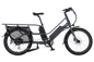Blix Packa Genie Cargo eBike