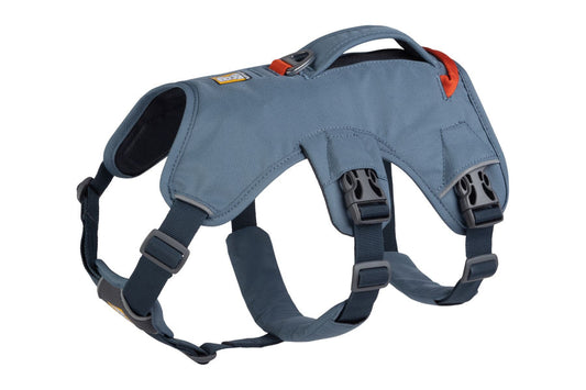 Web Master™ Harness