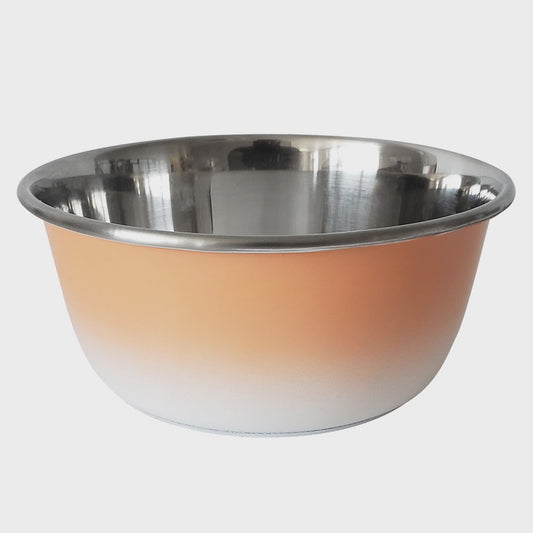 Eco-Friendly Stainless Steel Deep Dog Bowl - Coral