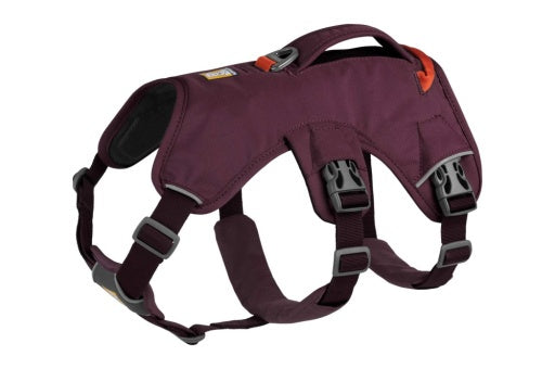 Web Master™ Harness
